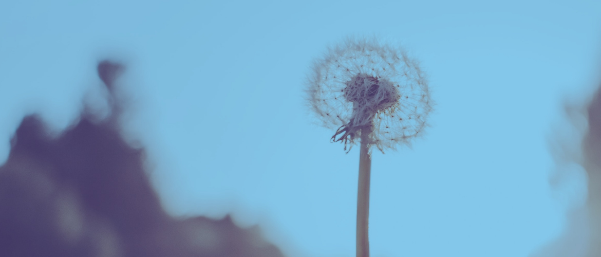 Dicas de mindfulness para perder peso físico