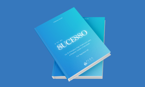 Capa alei do sucesso Capa alei do sucesso